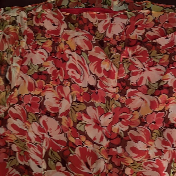 COLDWATER CREEK LINED SUNDRESS SIZE 12P 100% SILK, LINING 100% ACETATE VGUC - Picture 6 of 7